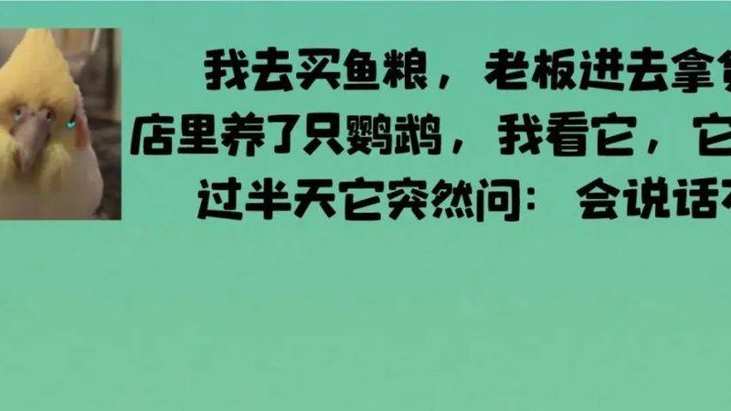 清油火锅底料价格揭秘：如何选择适合自己的产品