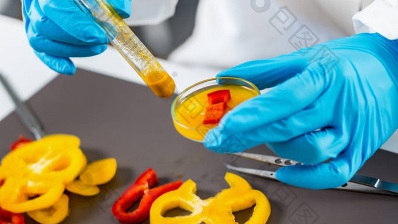 食品批发加盟，这些常见问题你了解吗？**